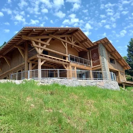 Superbe Avec Piscine Secteur Gerardmer * Liezey